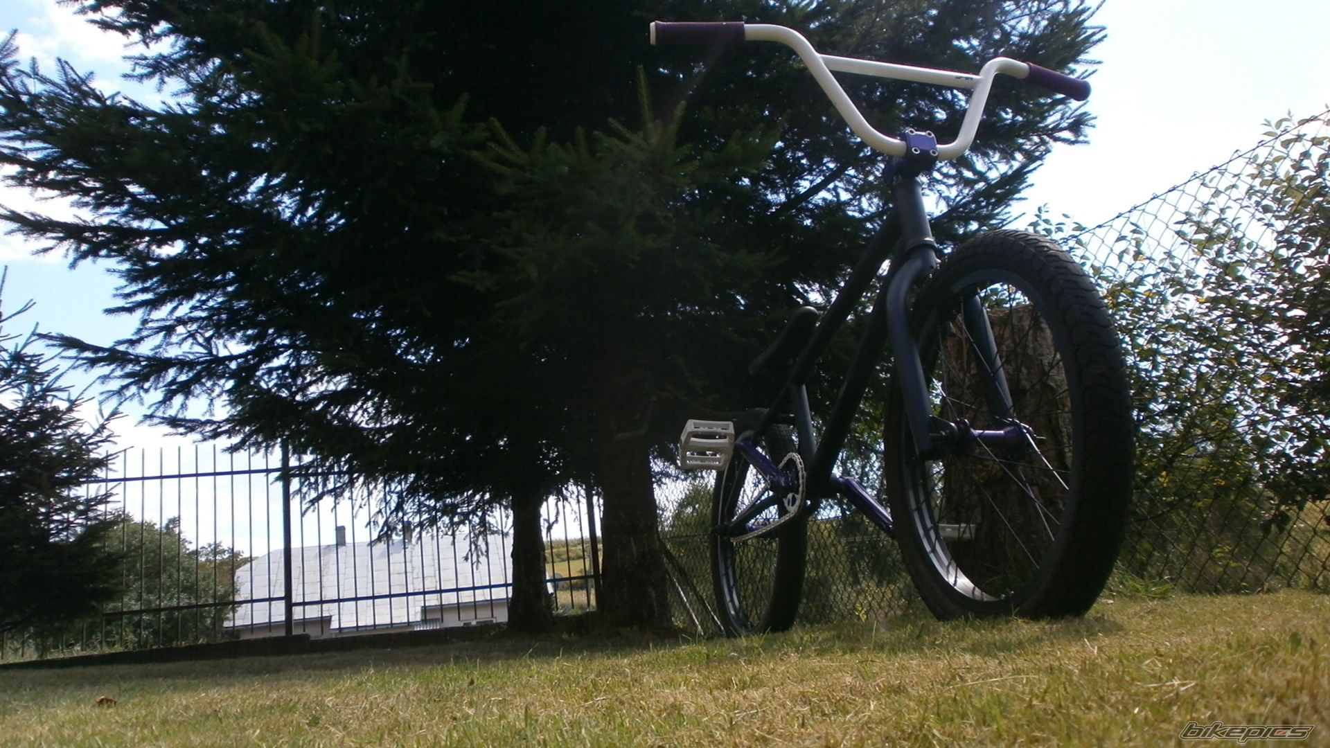 Photo 2493790