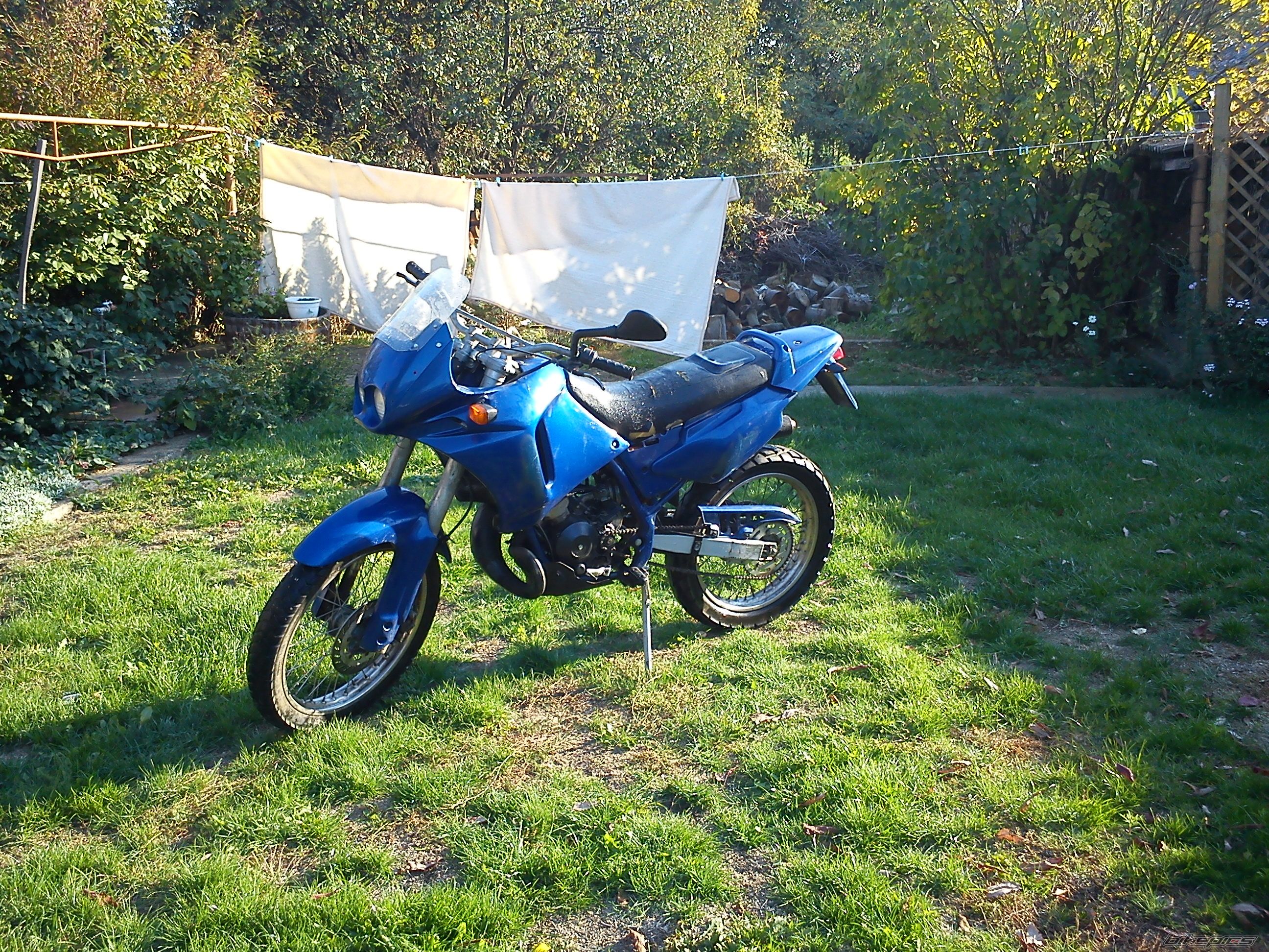 Pegaso 50