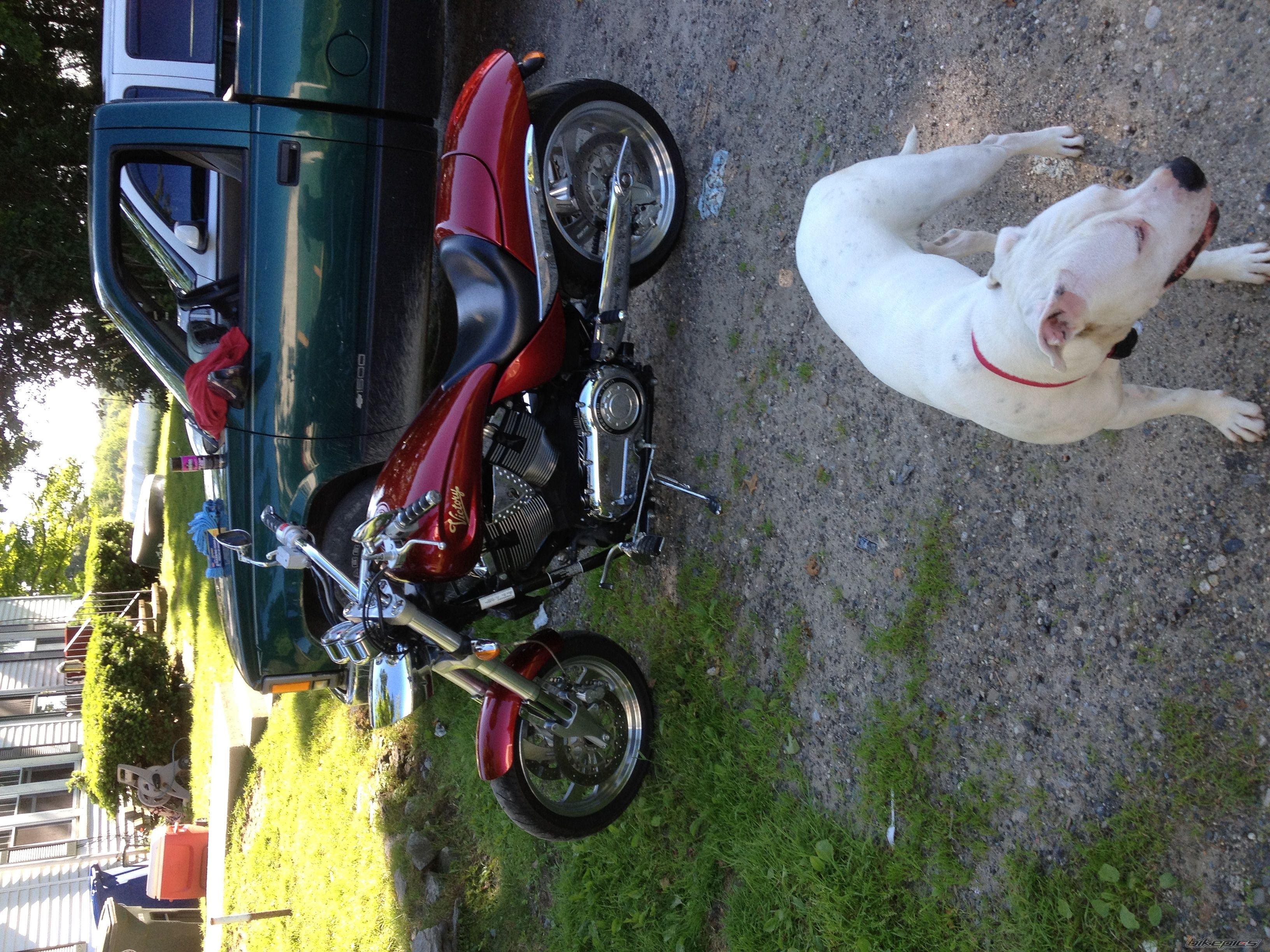 Photo 2495517