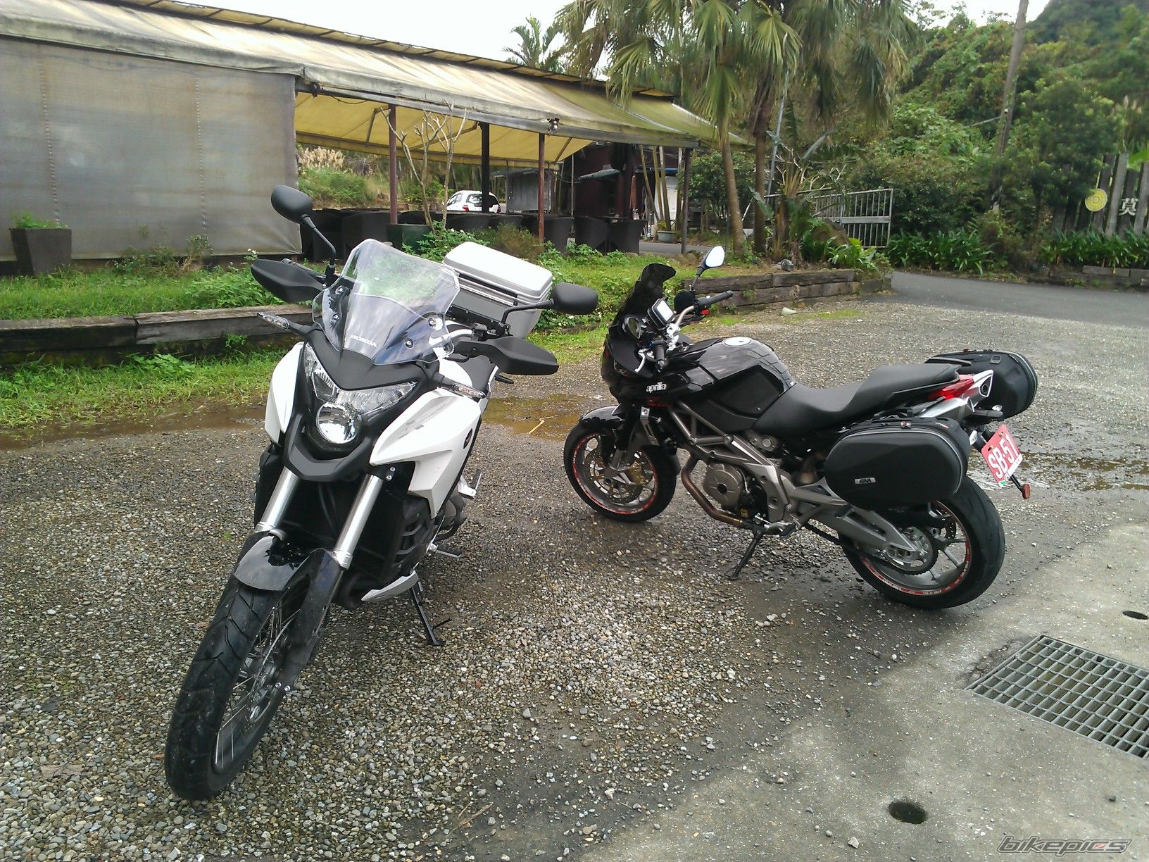 Photo 2495671