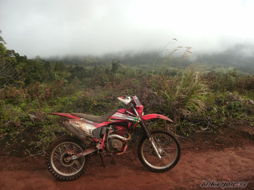 Photo 2496820