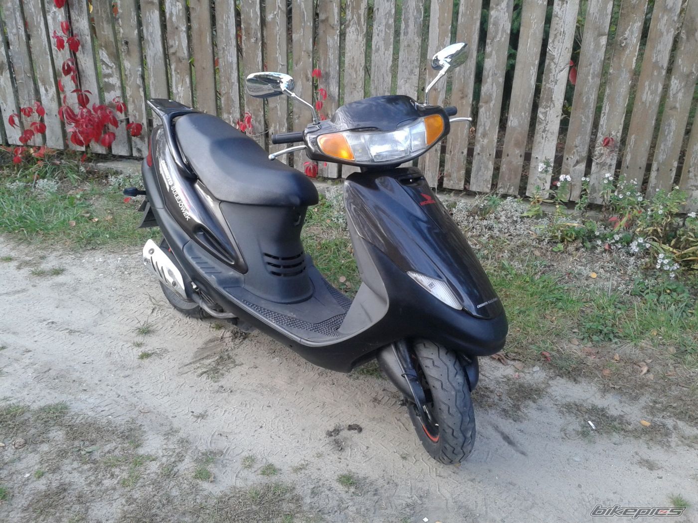 Photo 2497245