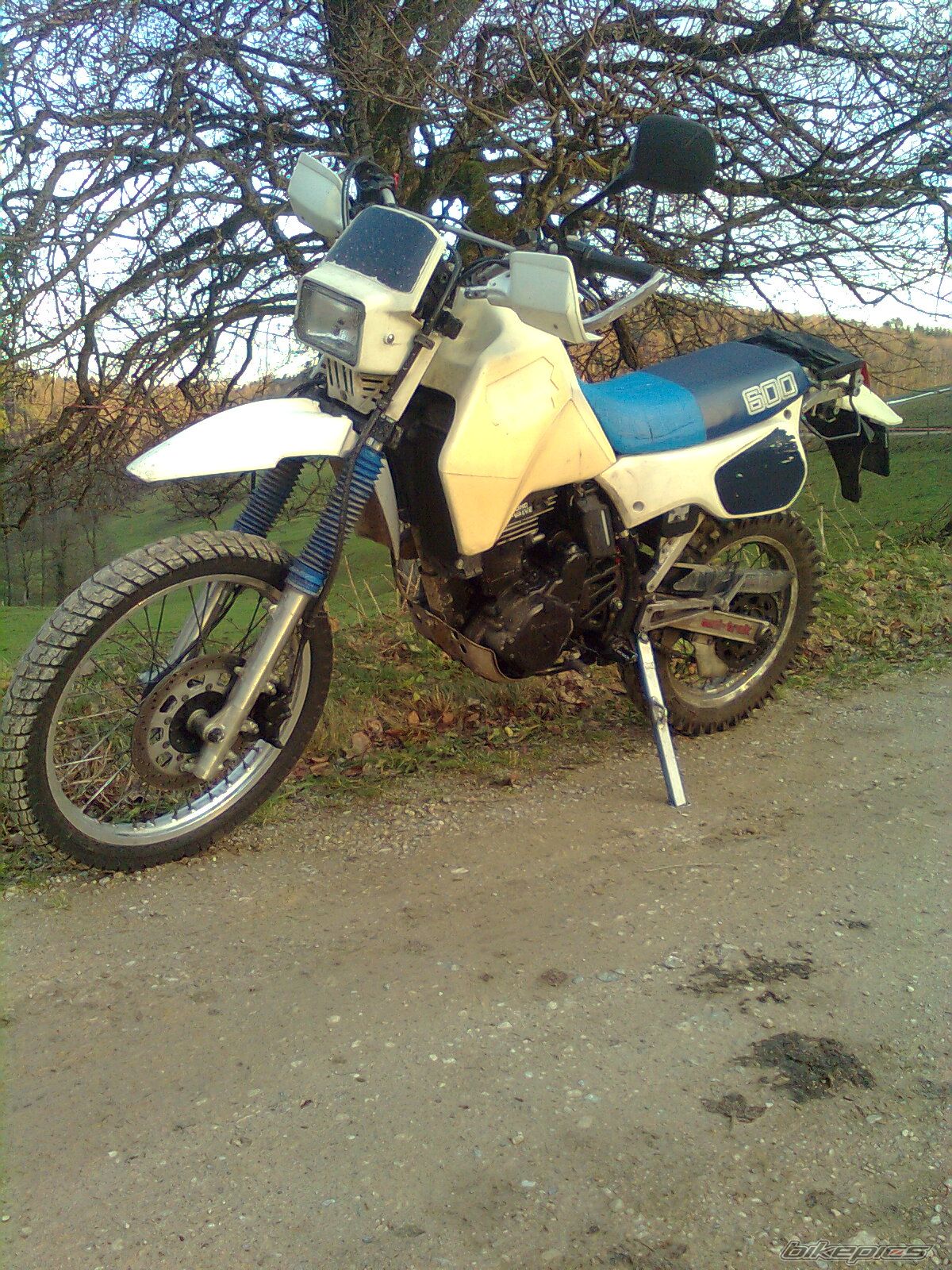 Photo 2497803