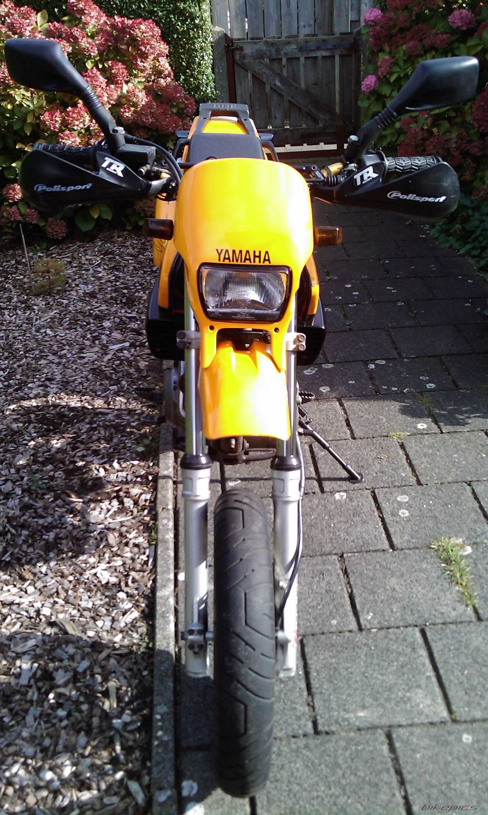 Photo 2498057