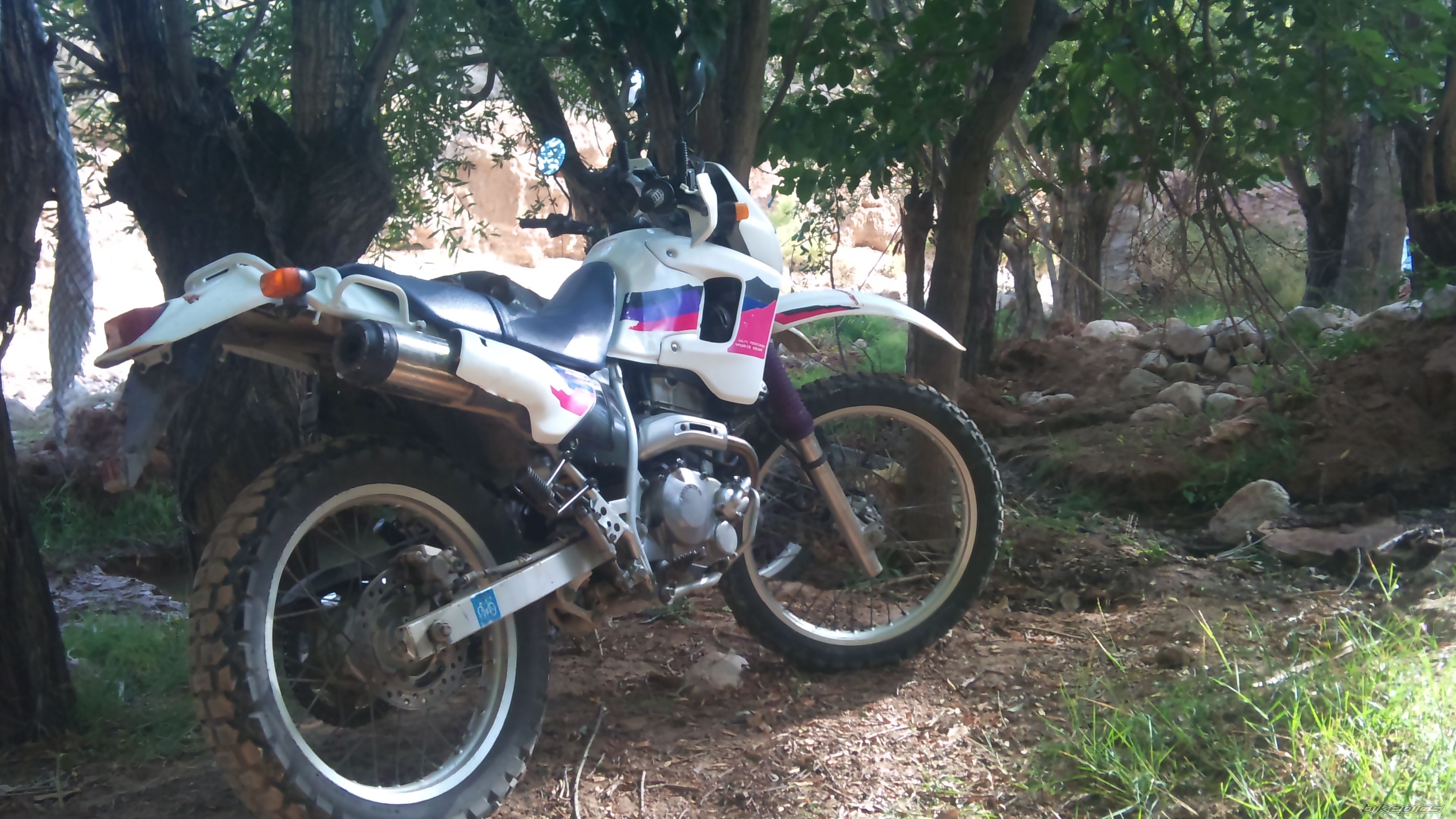 Photo 2499645