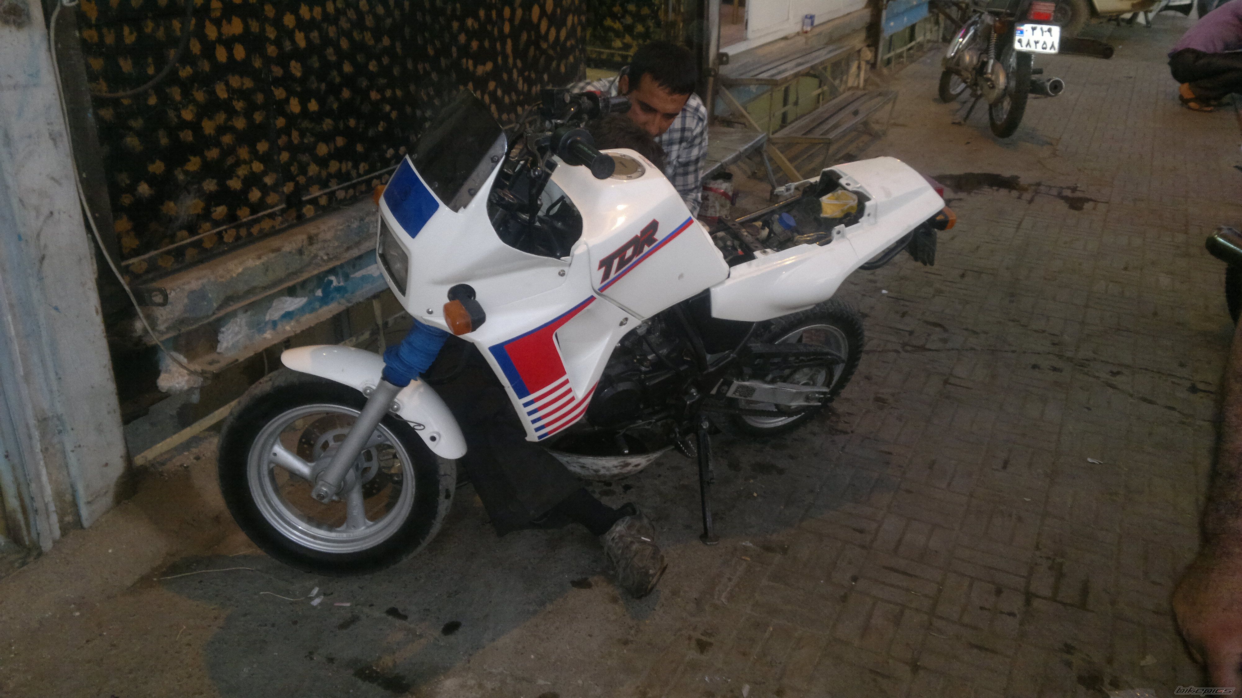 Photo 2502839