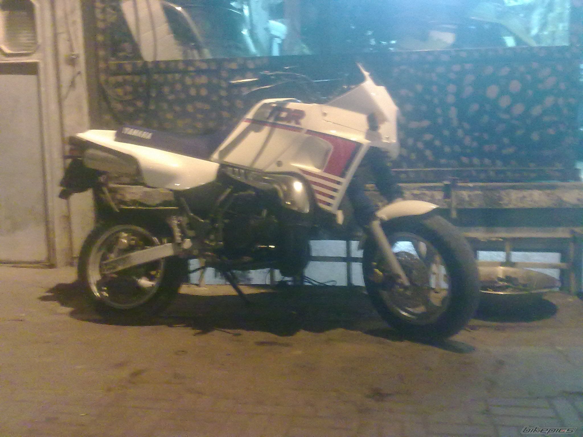 Photo 2502852