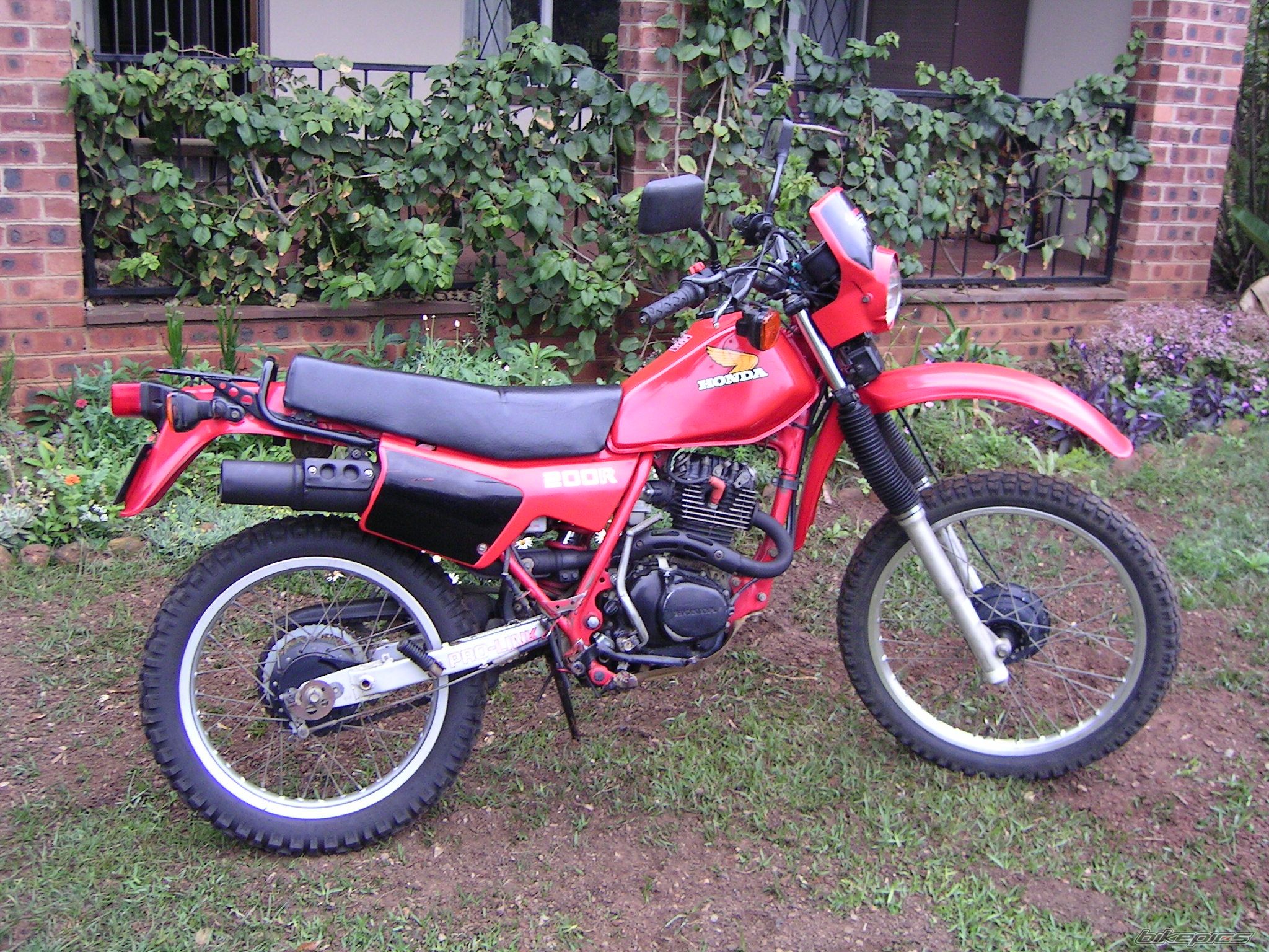 Photo 2505864