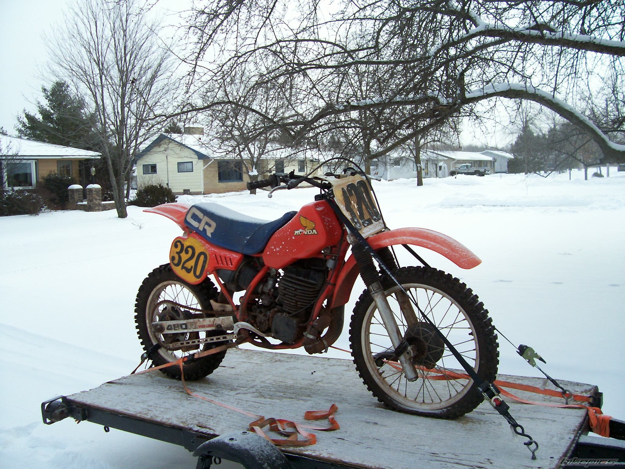 Photo 2506627