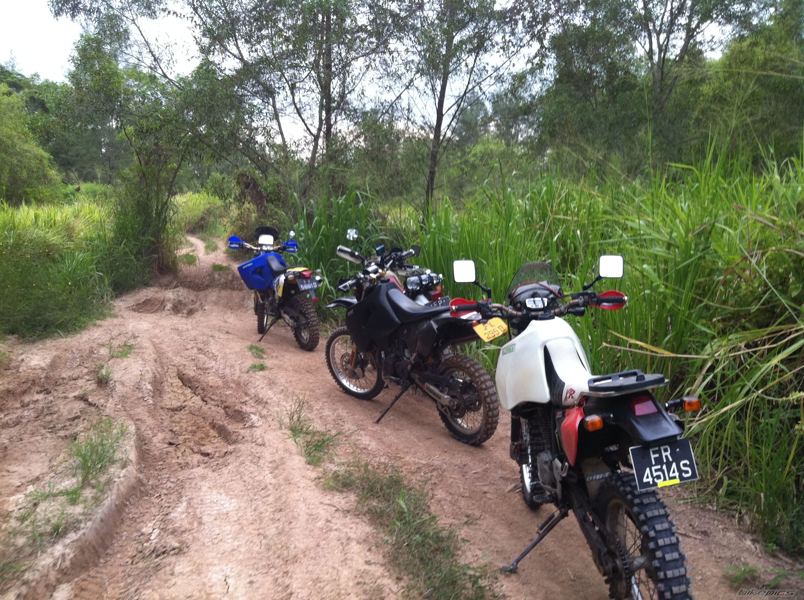 Photo 2508499
