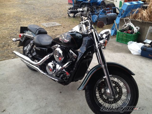 Photo 2510071