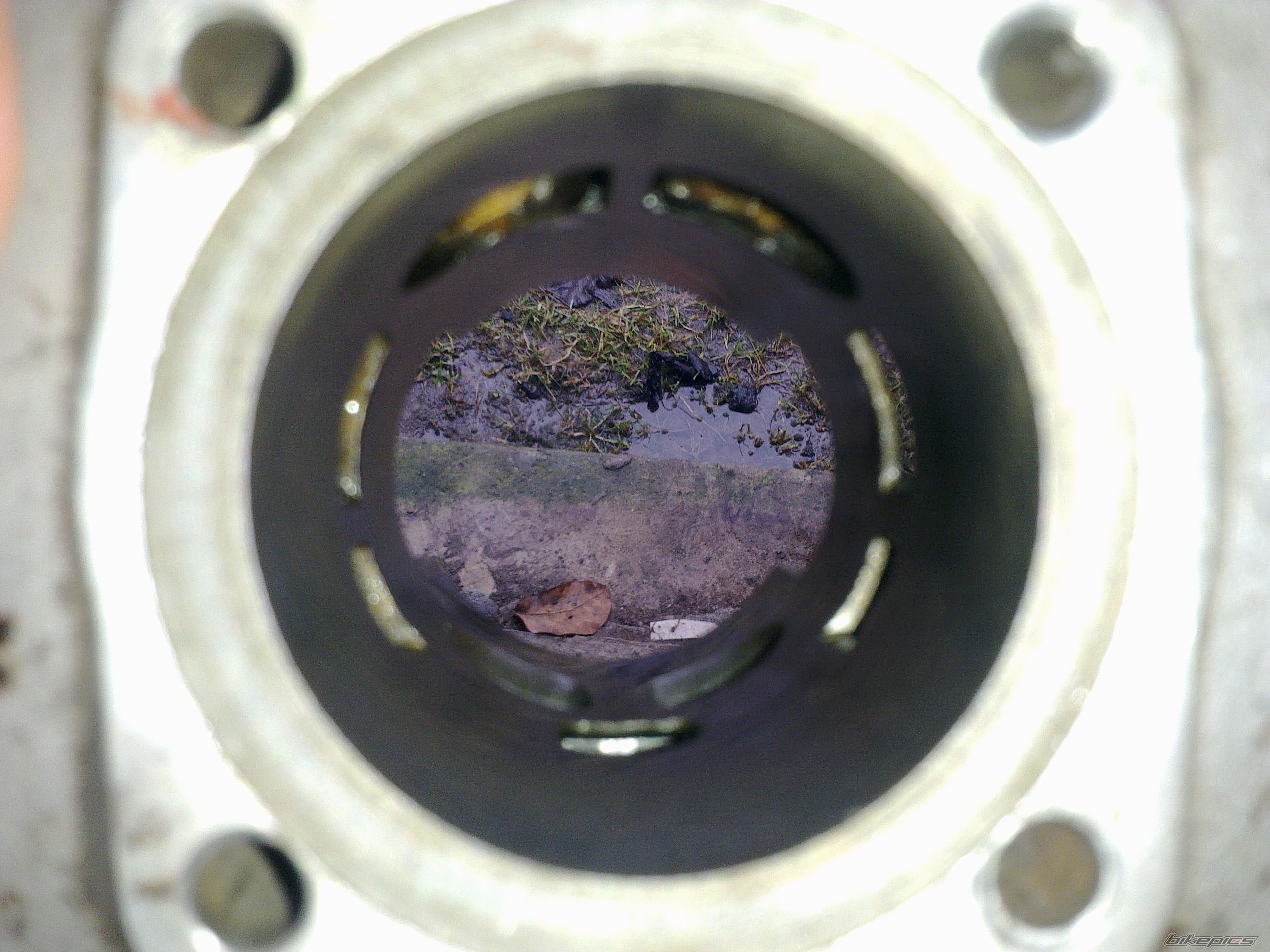 Photo 2510683