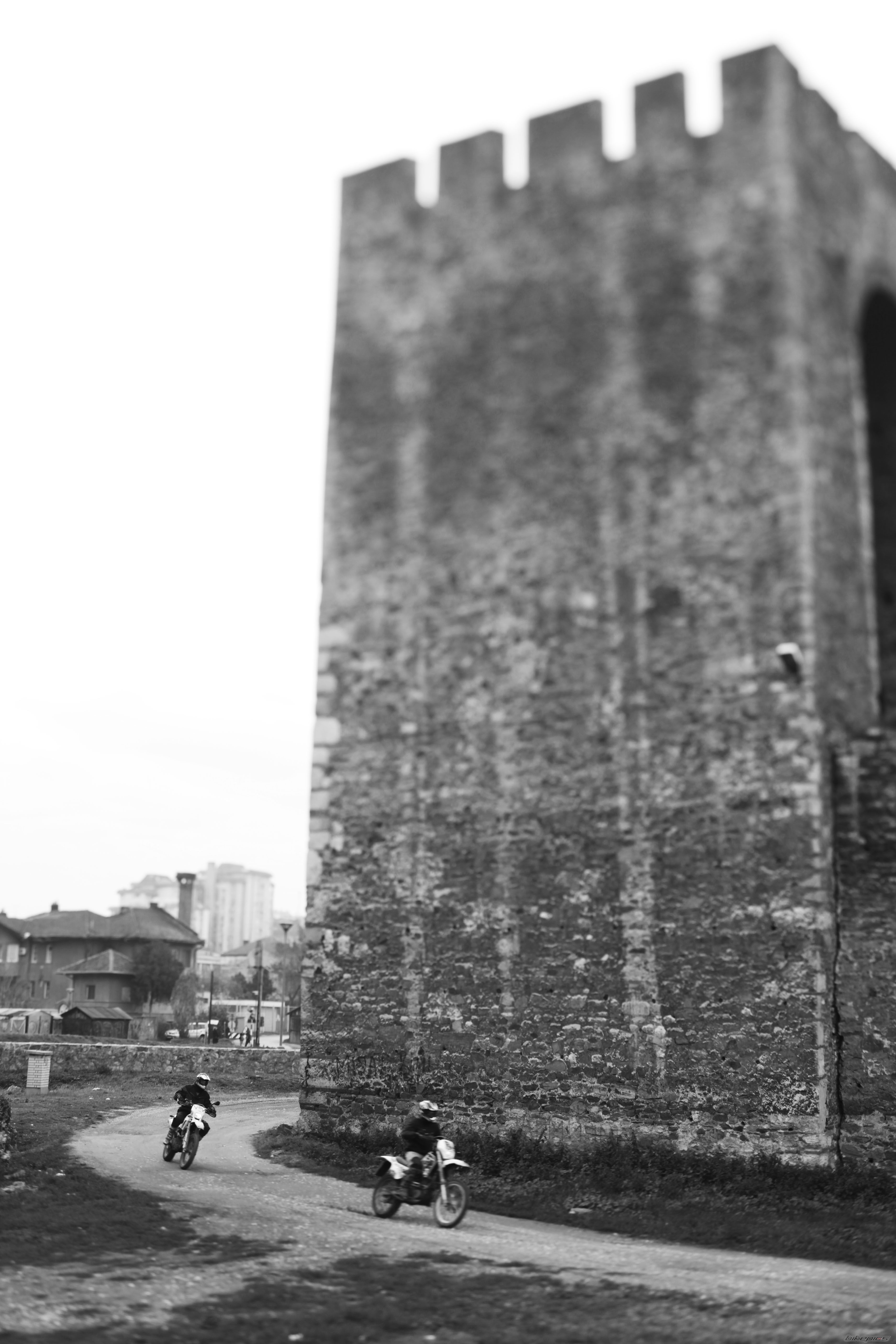 Photo 2511179