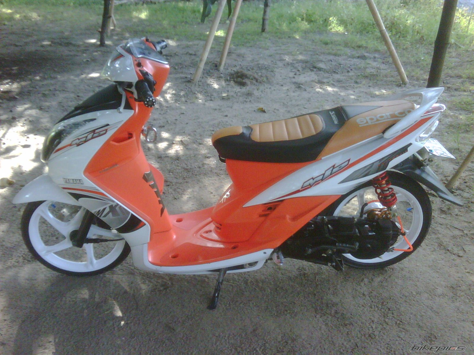 Photo 2518249