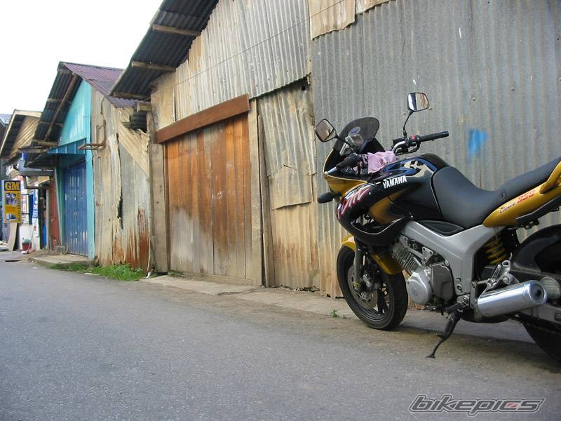 Photo 251915