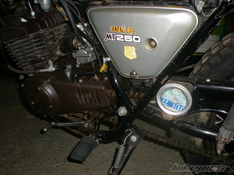 Photo 2519239