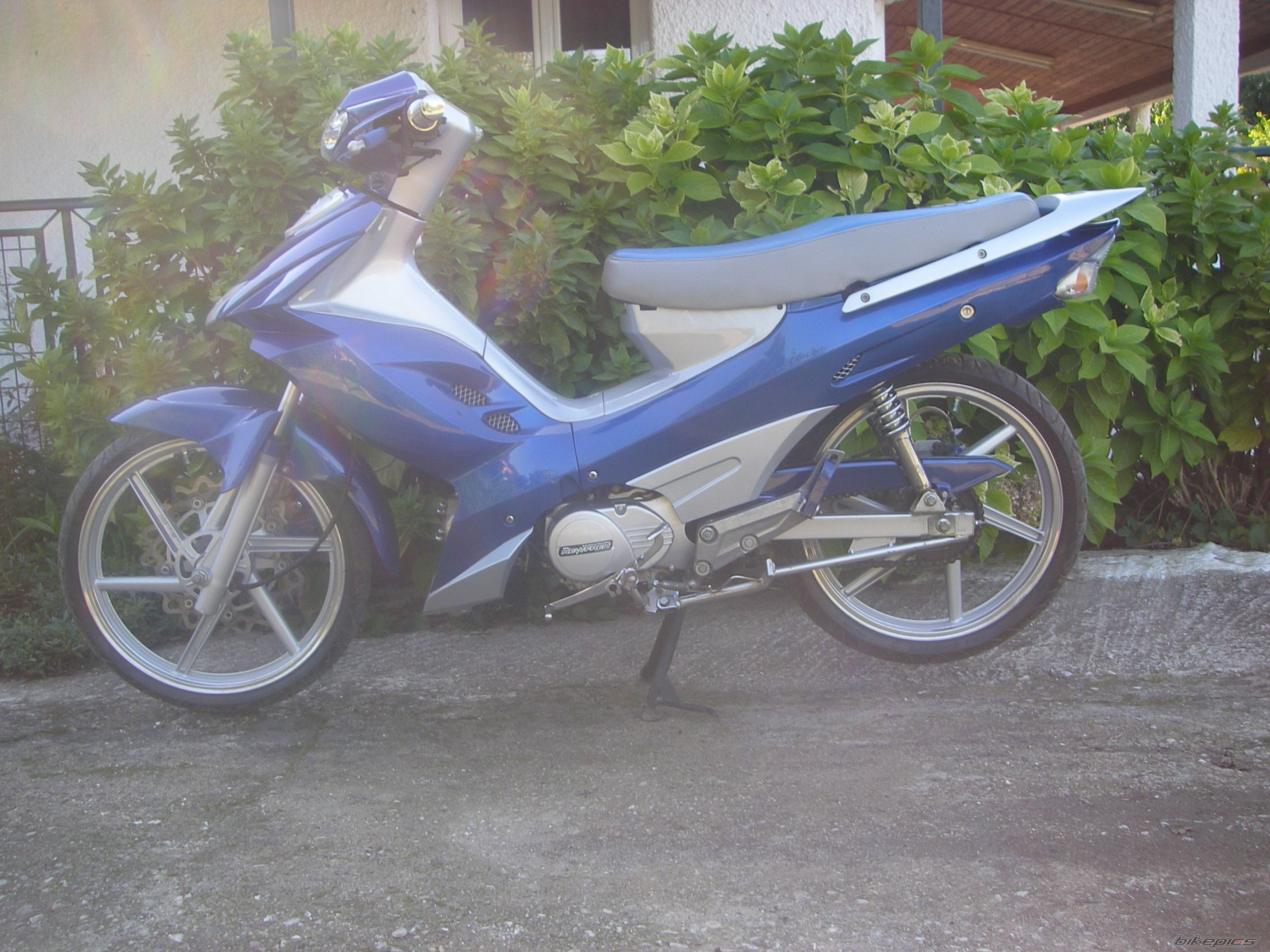 Photo 2519992