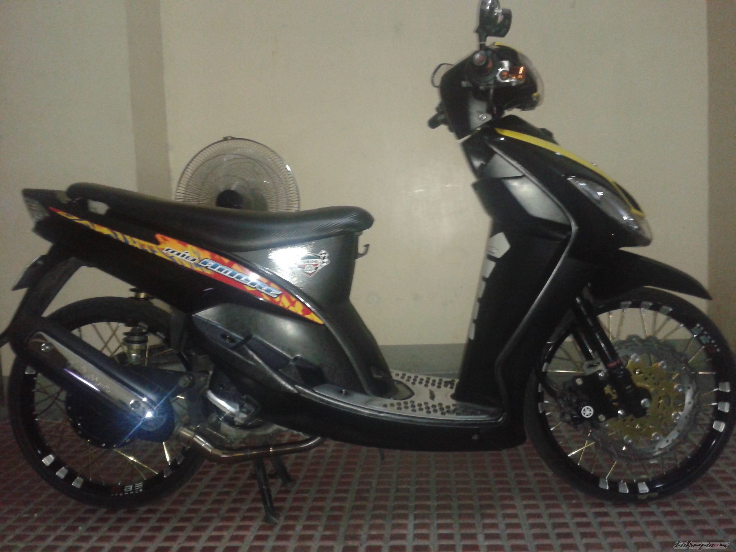 Photo 2521863