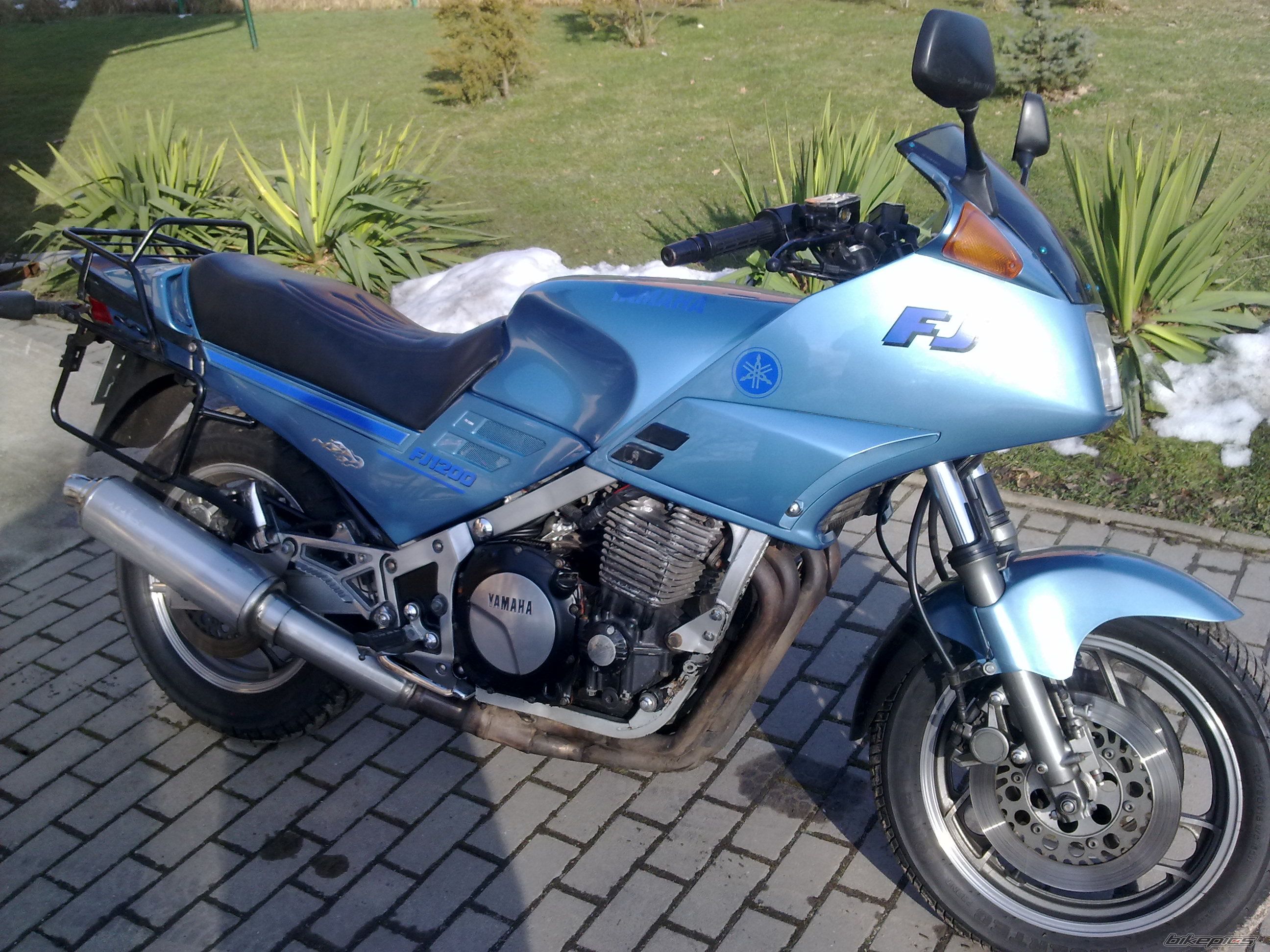 Photo 2523068