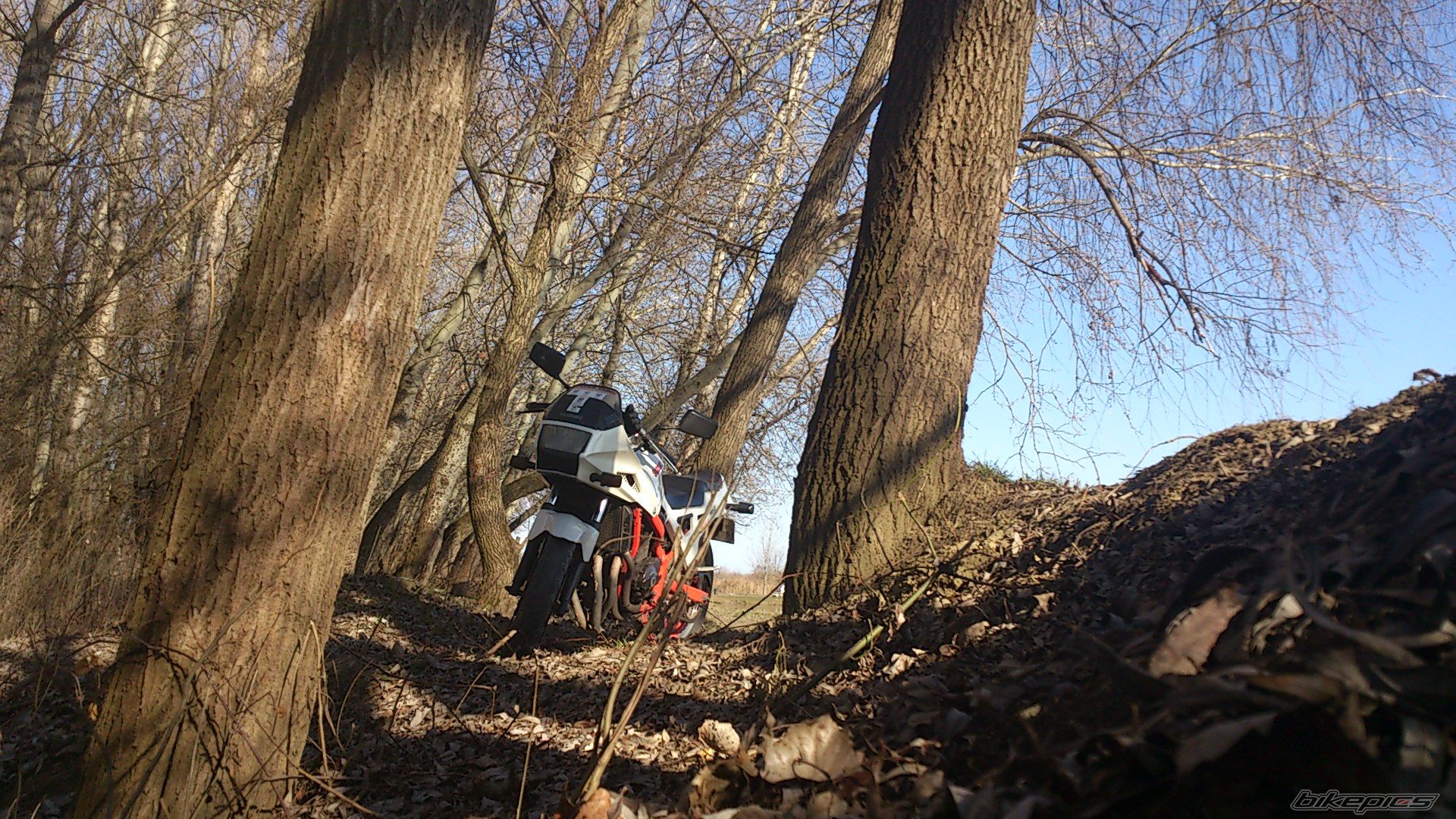 Photo 2524024