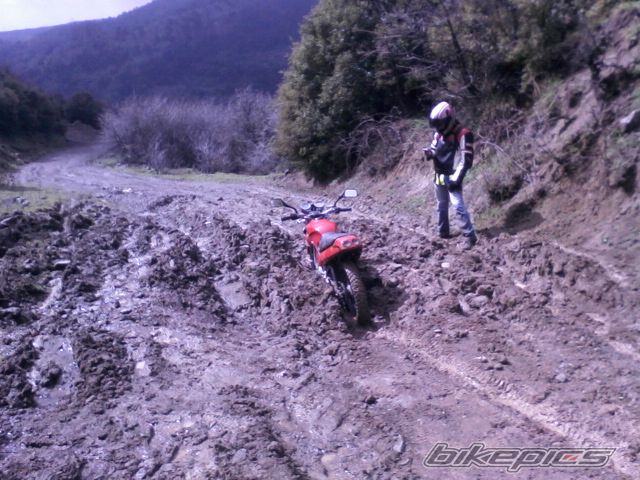 Photo 2526597