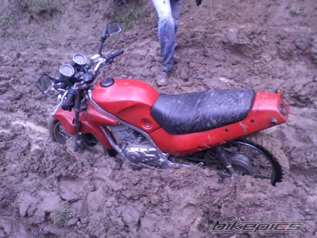 Photo 2526605