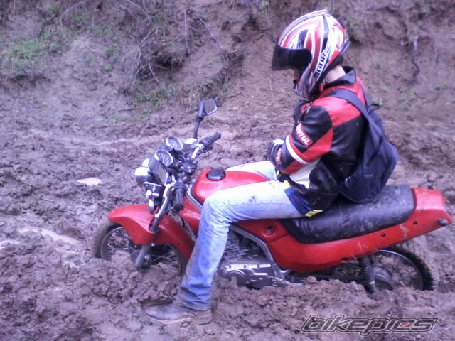 Photo 2526610