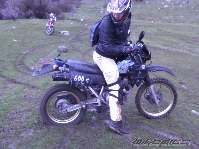 Photo 2526620