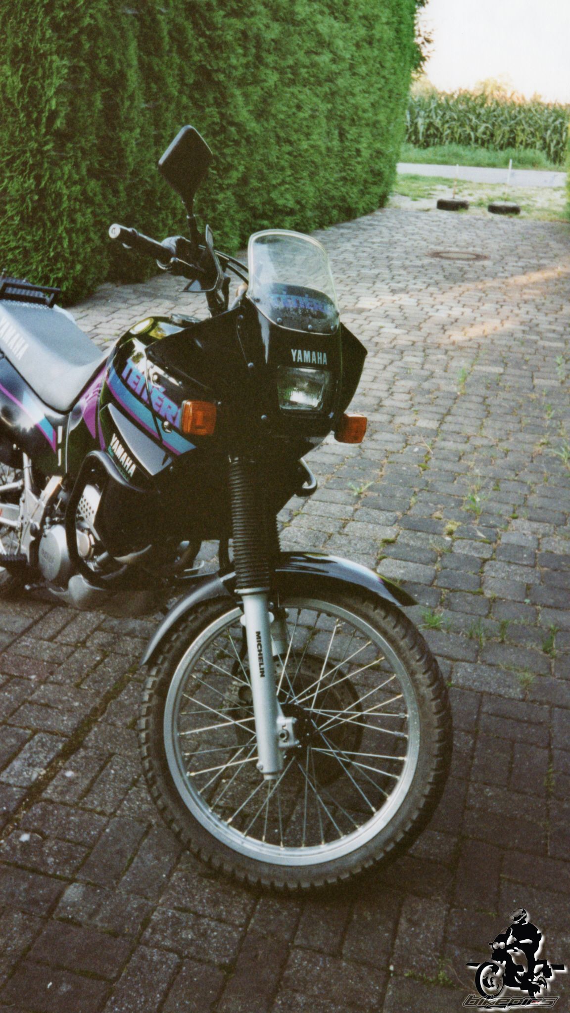 Photo 2528331