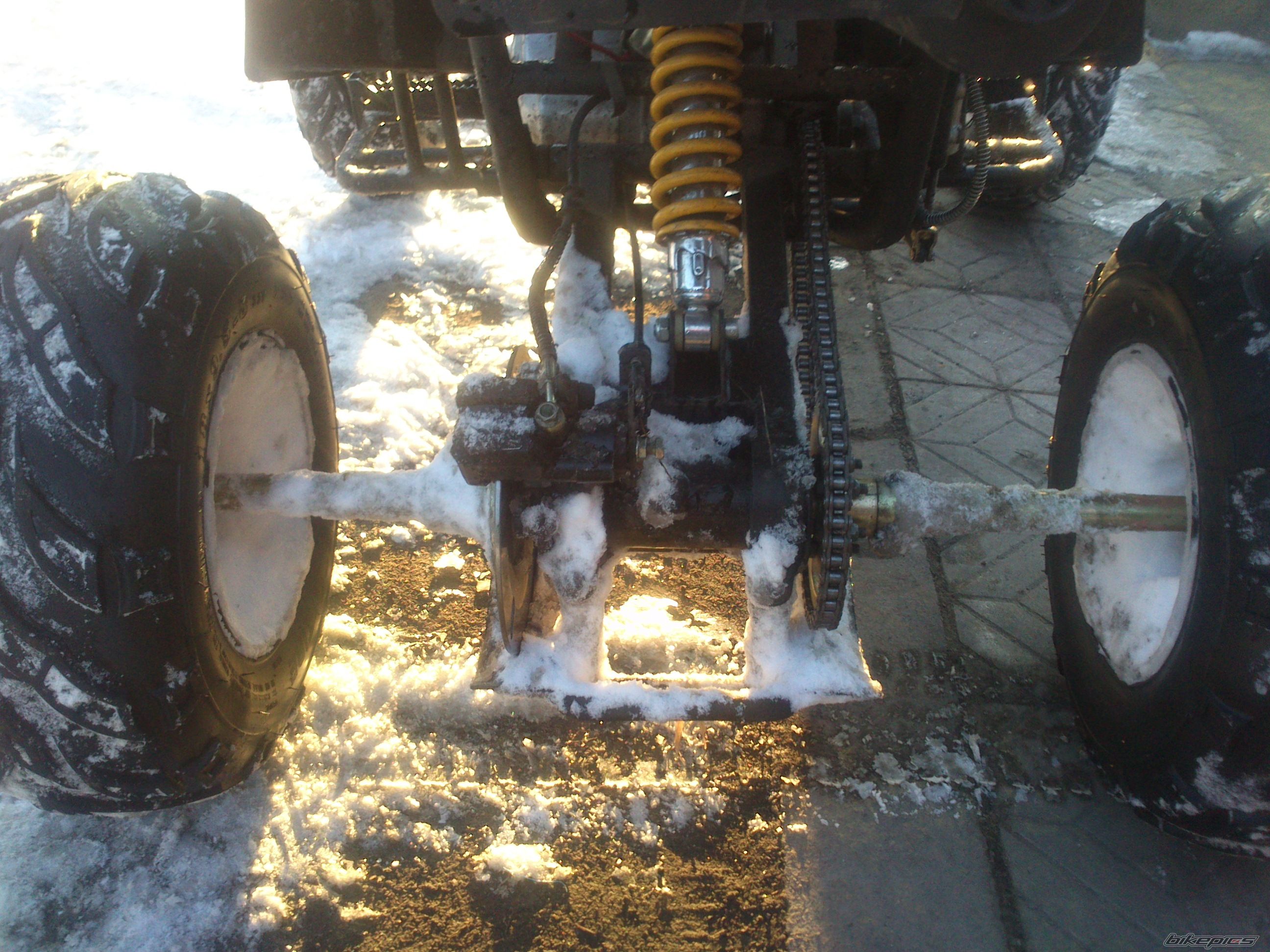 Photo 2528378