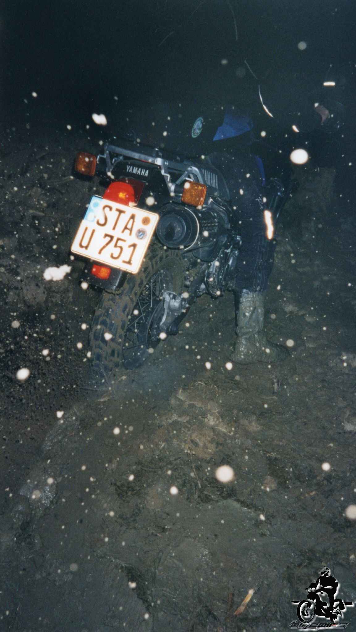 Photo 2528410