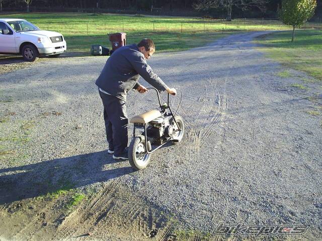 Photo 252842