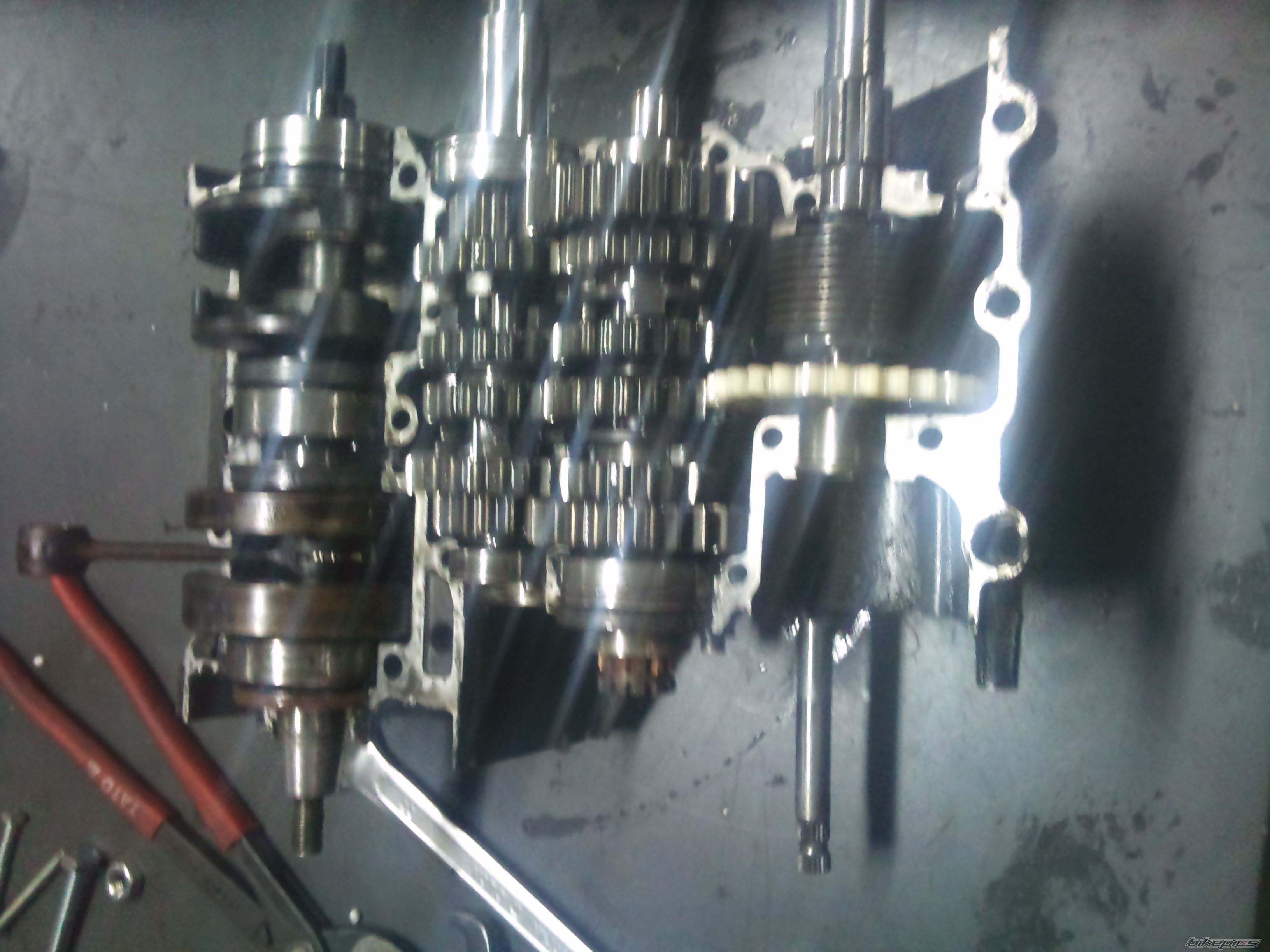 Photo 2530383