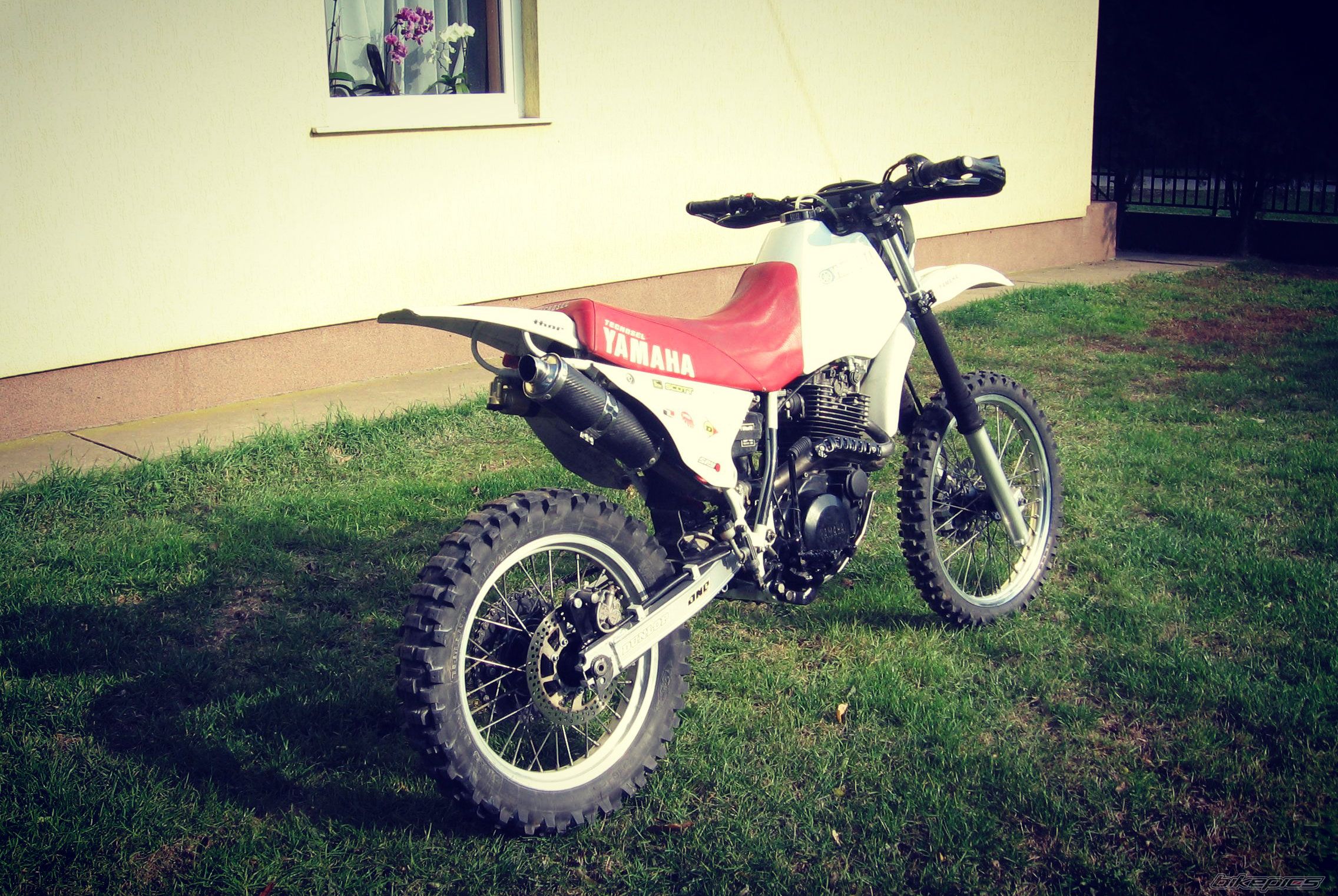 Bike Photo 2530980