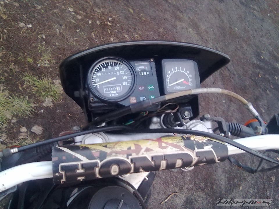 Photo 2531333