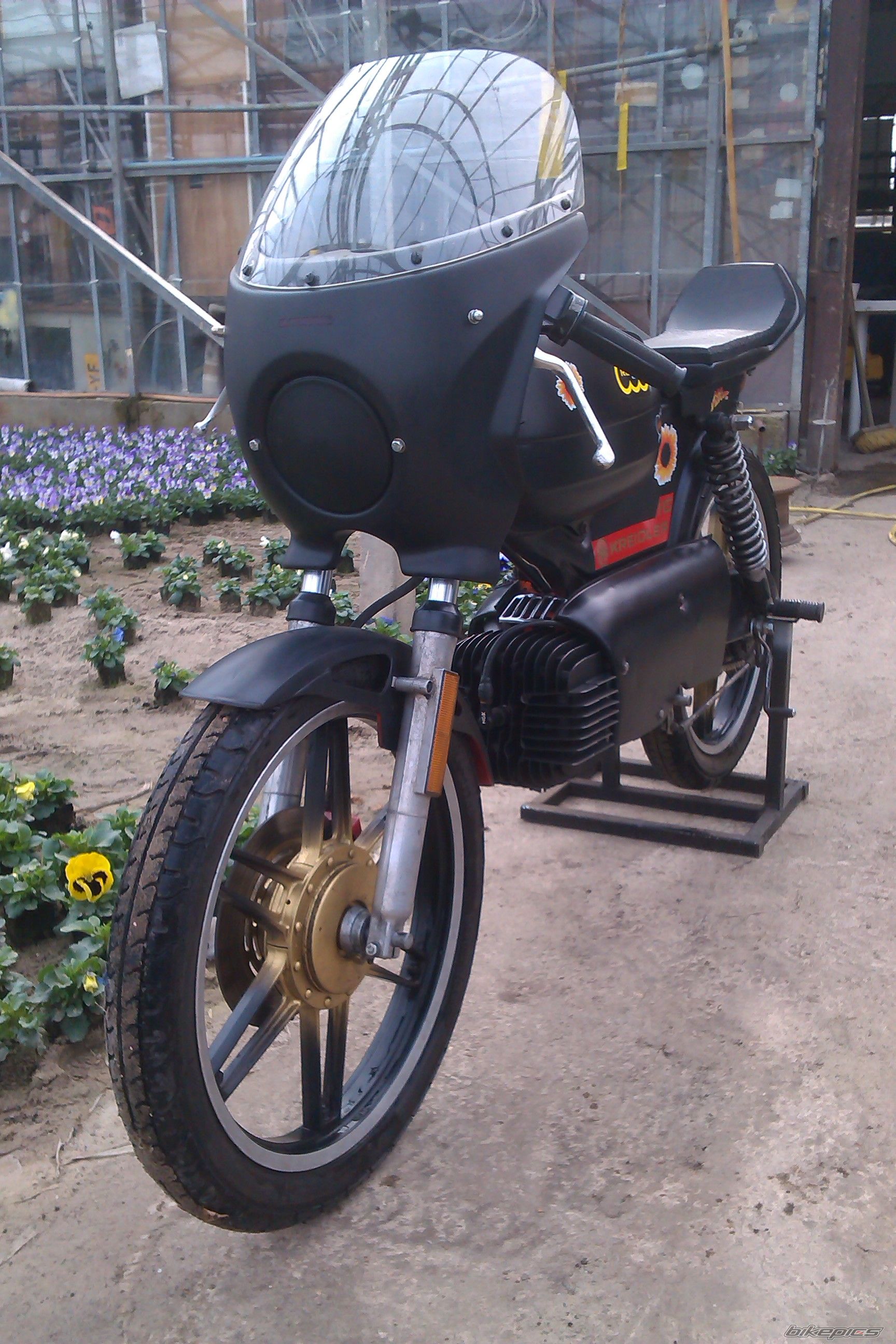 Photo 2532366