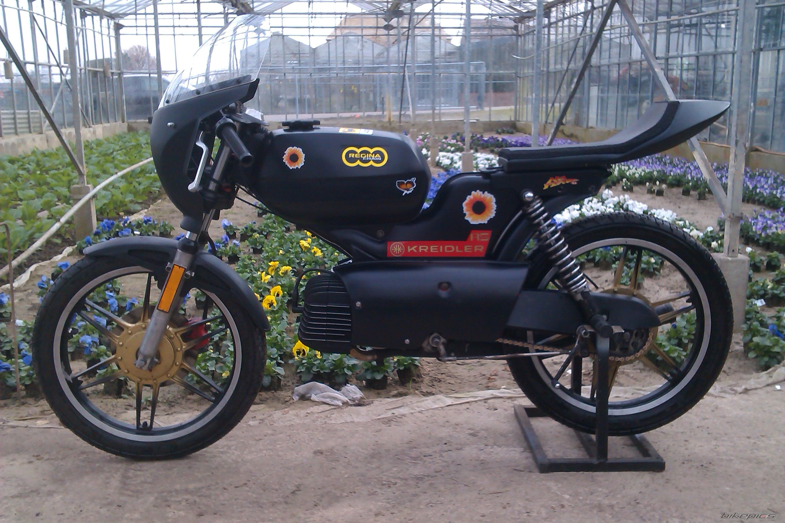 Photo 2532367