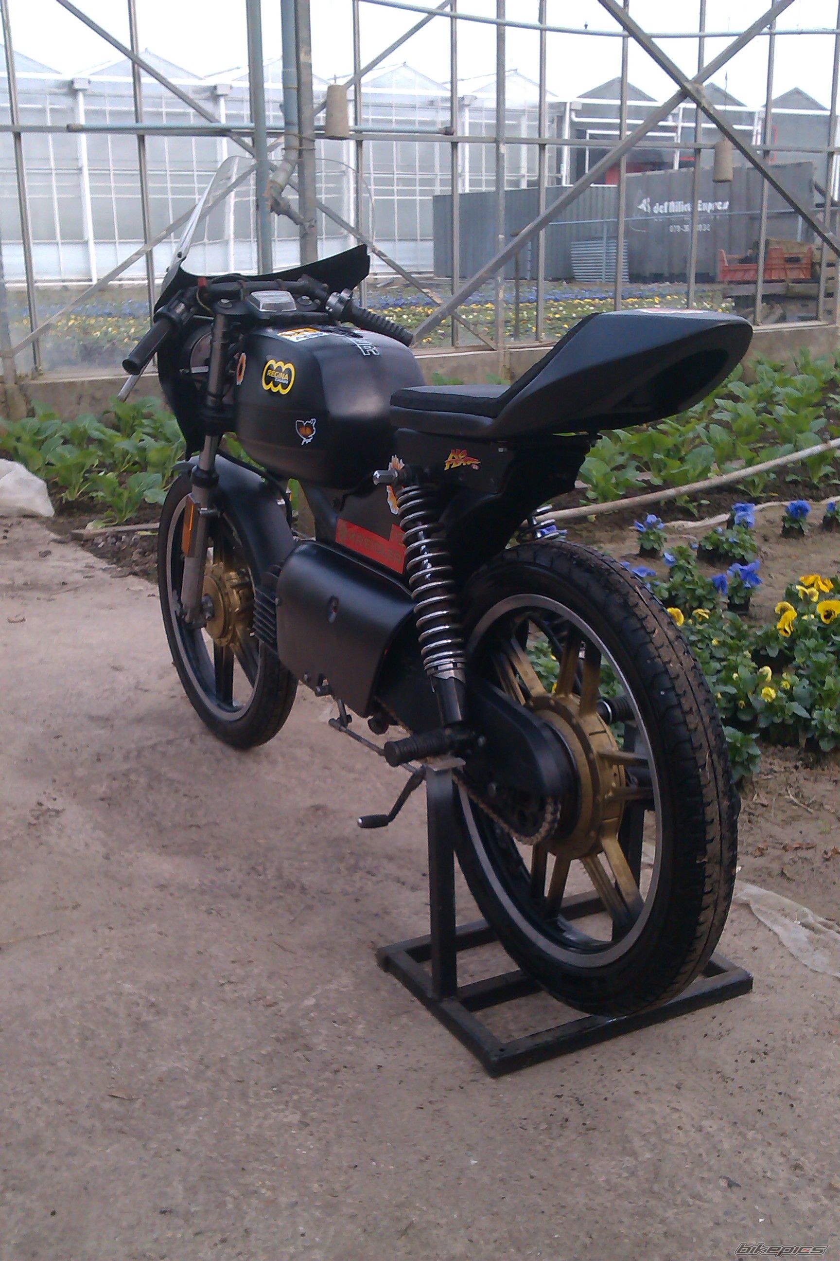 Photo 2532368