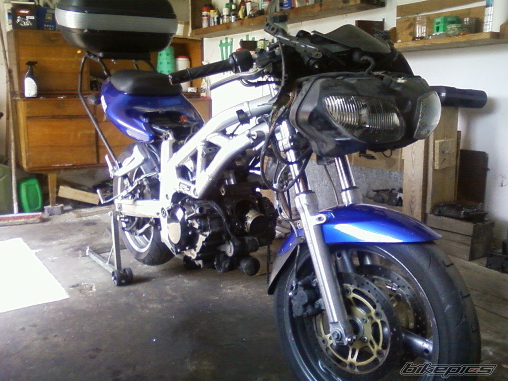 Photo 2533241