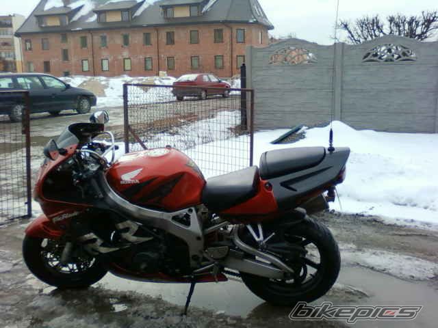 Photo 2533635
