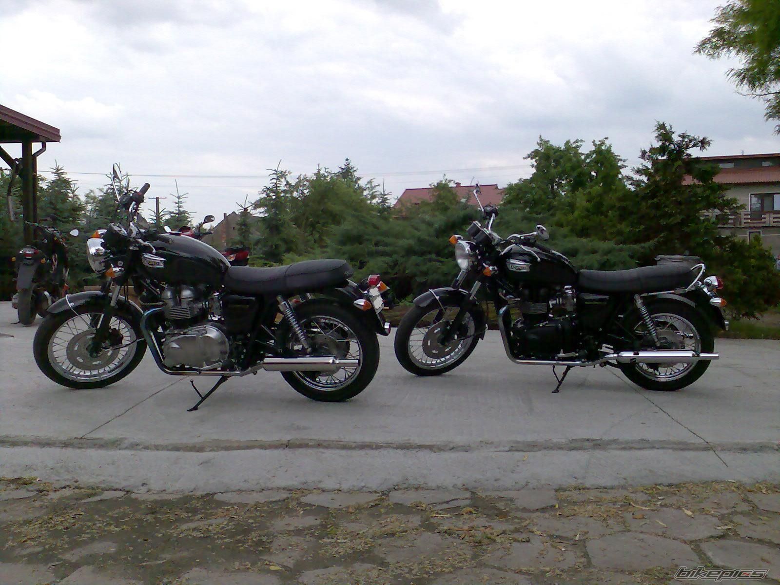 Photo 2533767