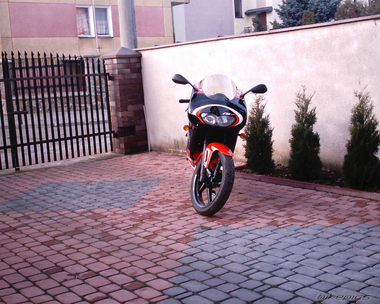 Photo 253525