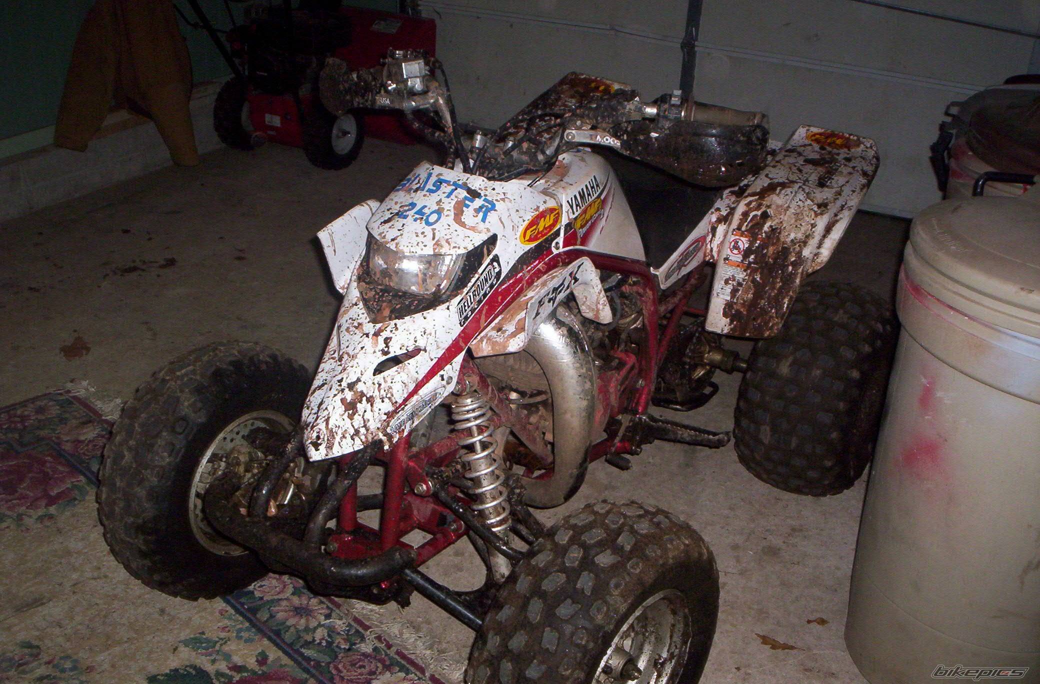 Photo 253537