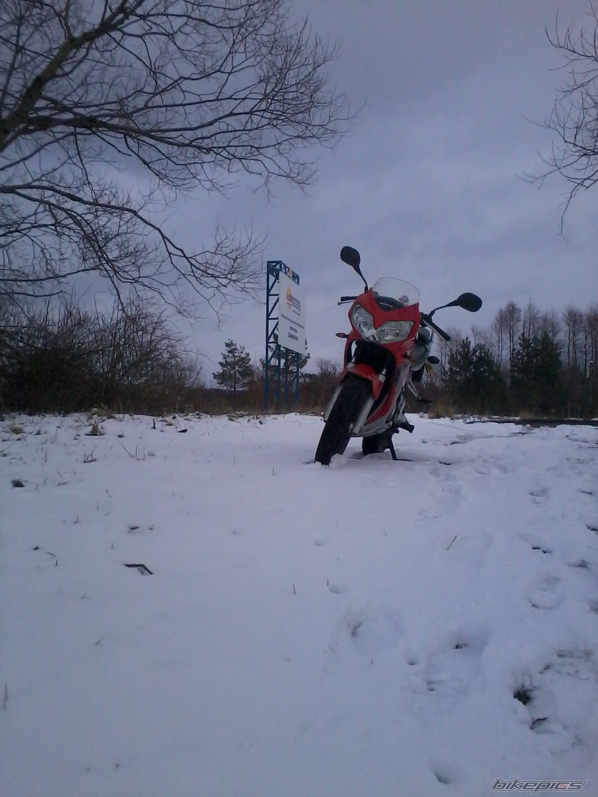 Photo 2537083