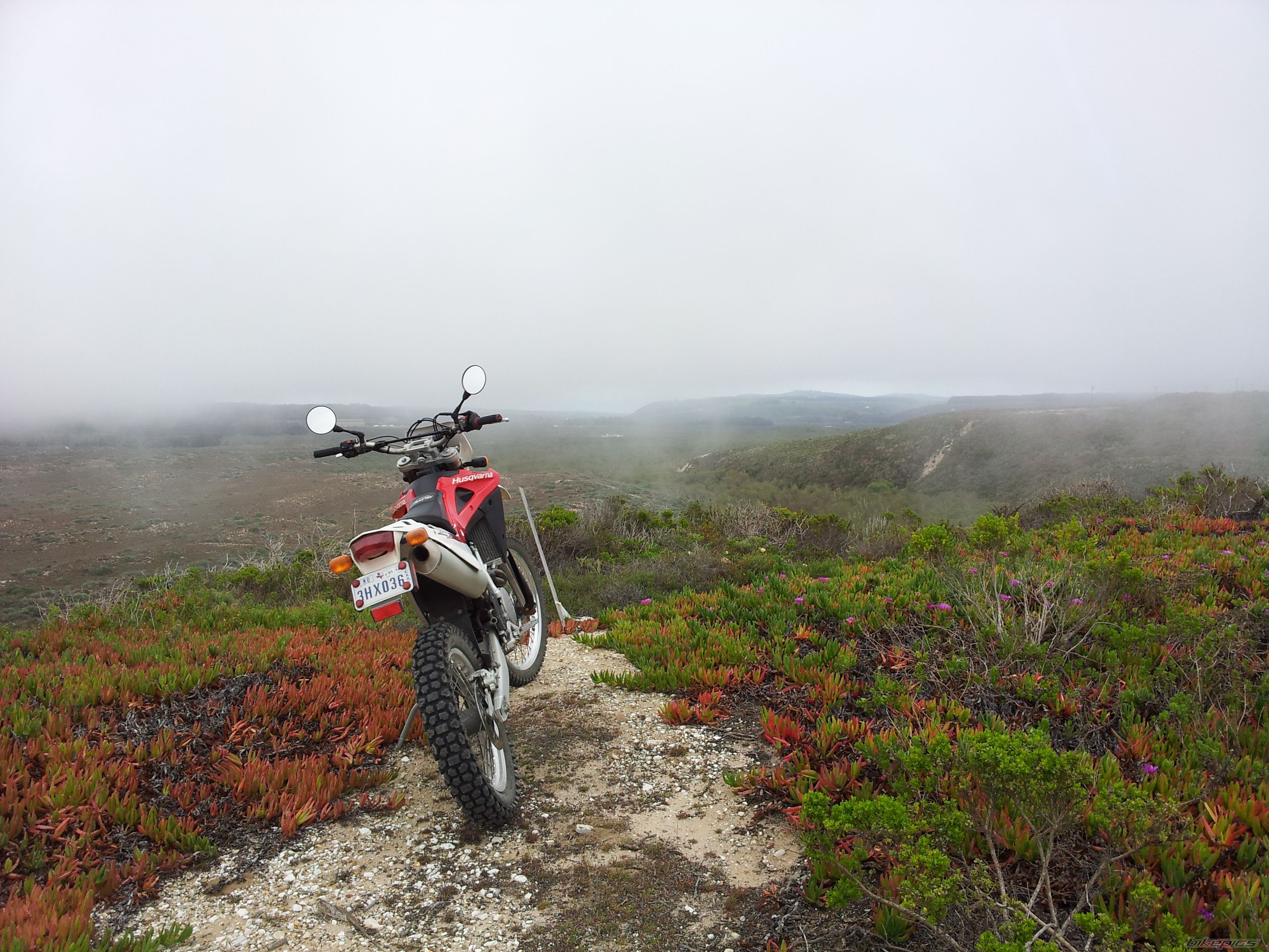 Bike Photo 2537390