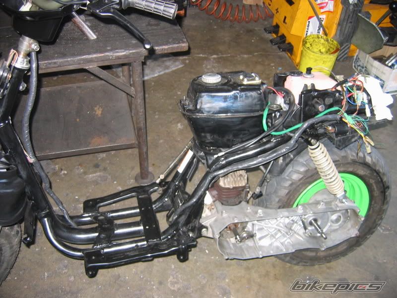 Photo 2537748