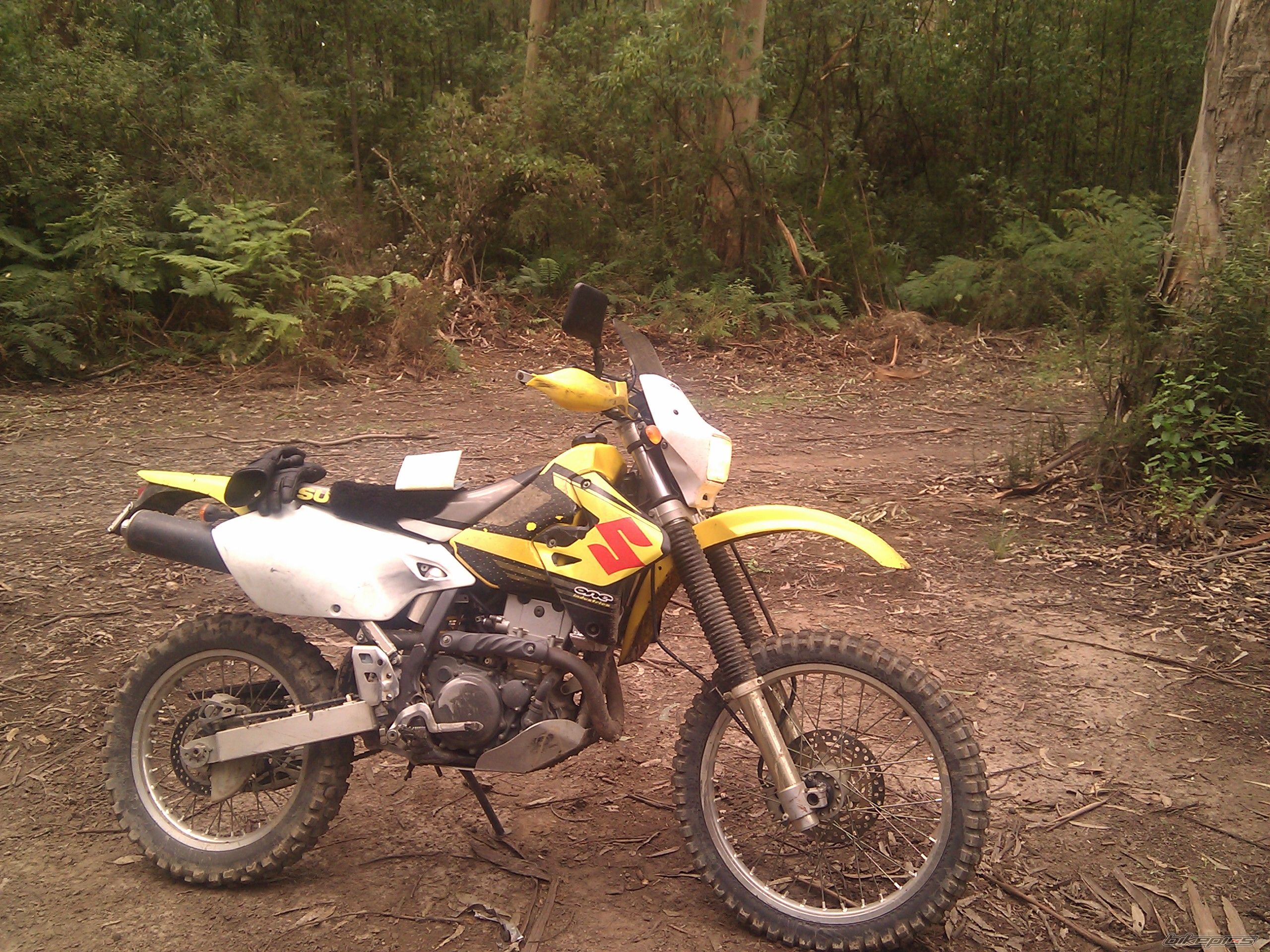 Photo 2537810