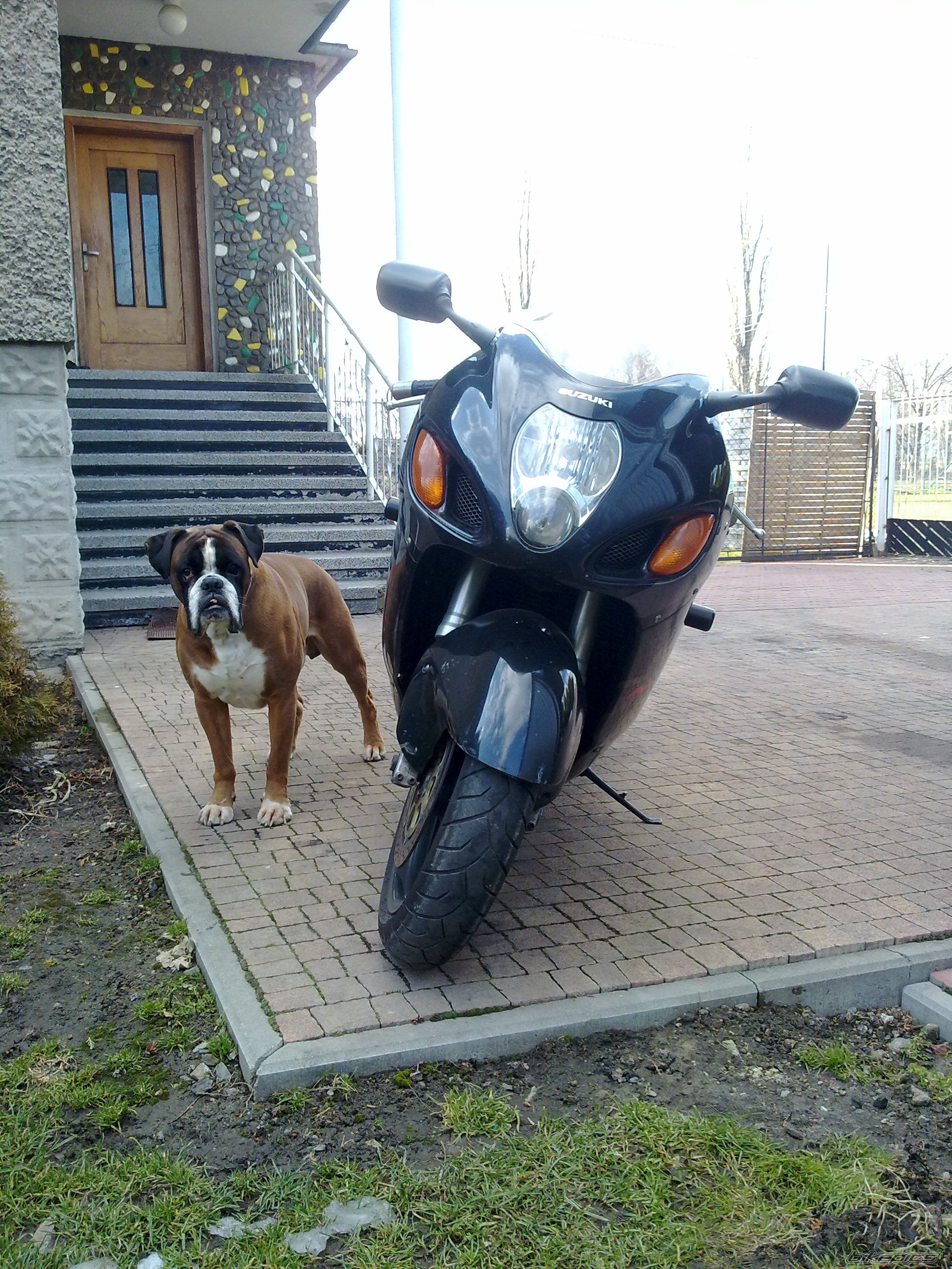 Photo 2540712
