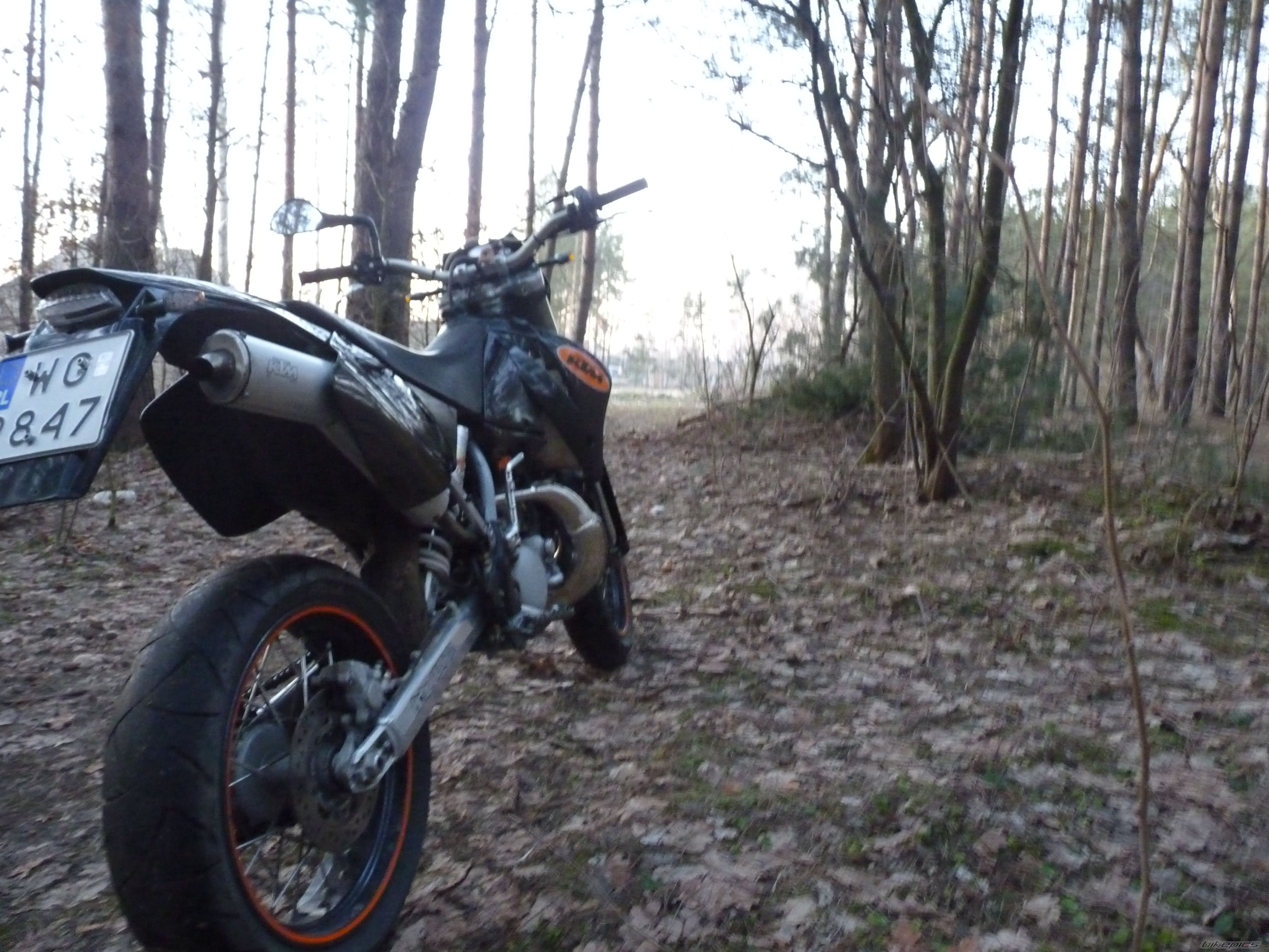 Photo 2542712