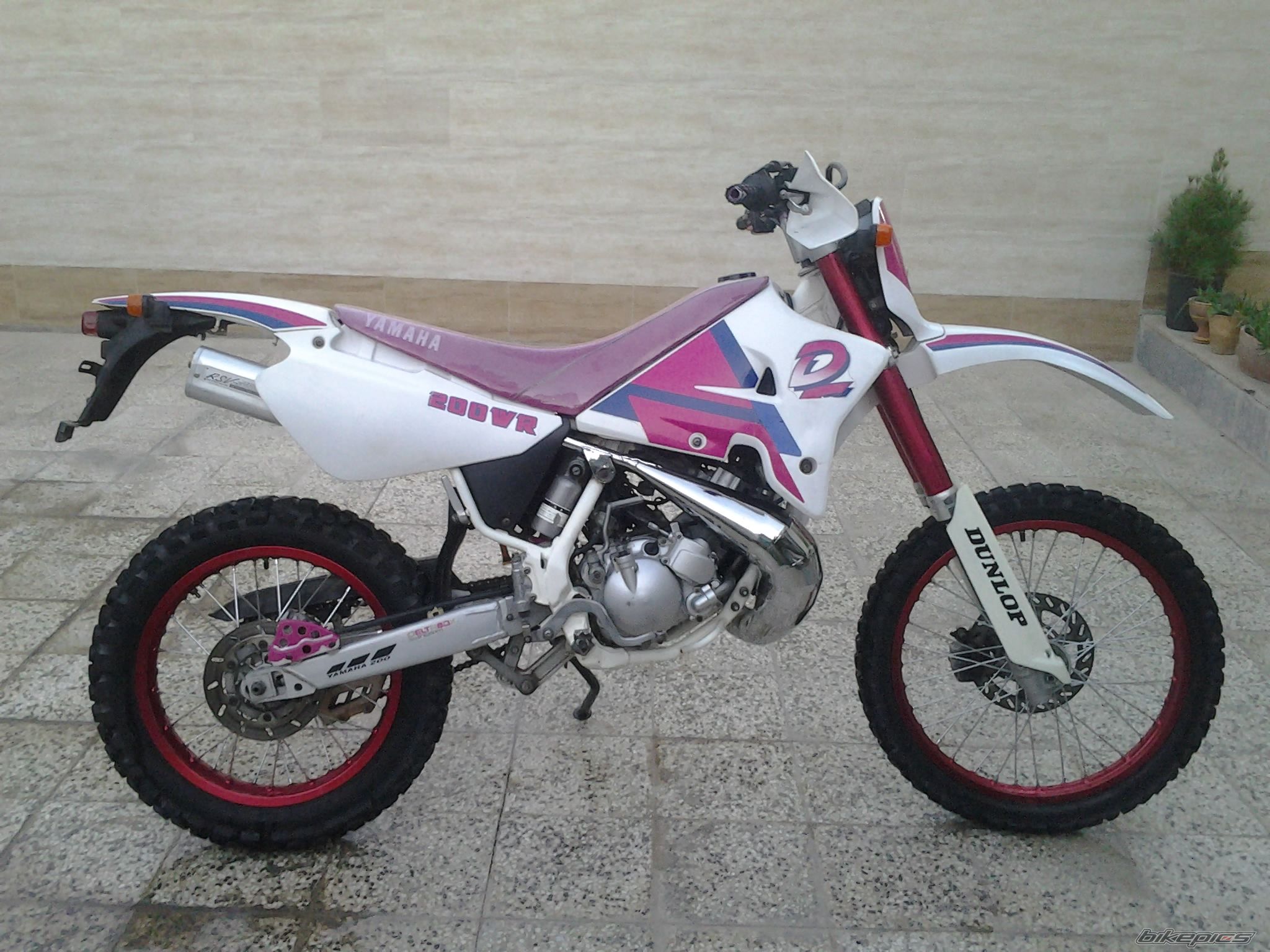 Photo 2544607